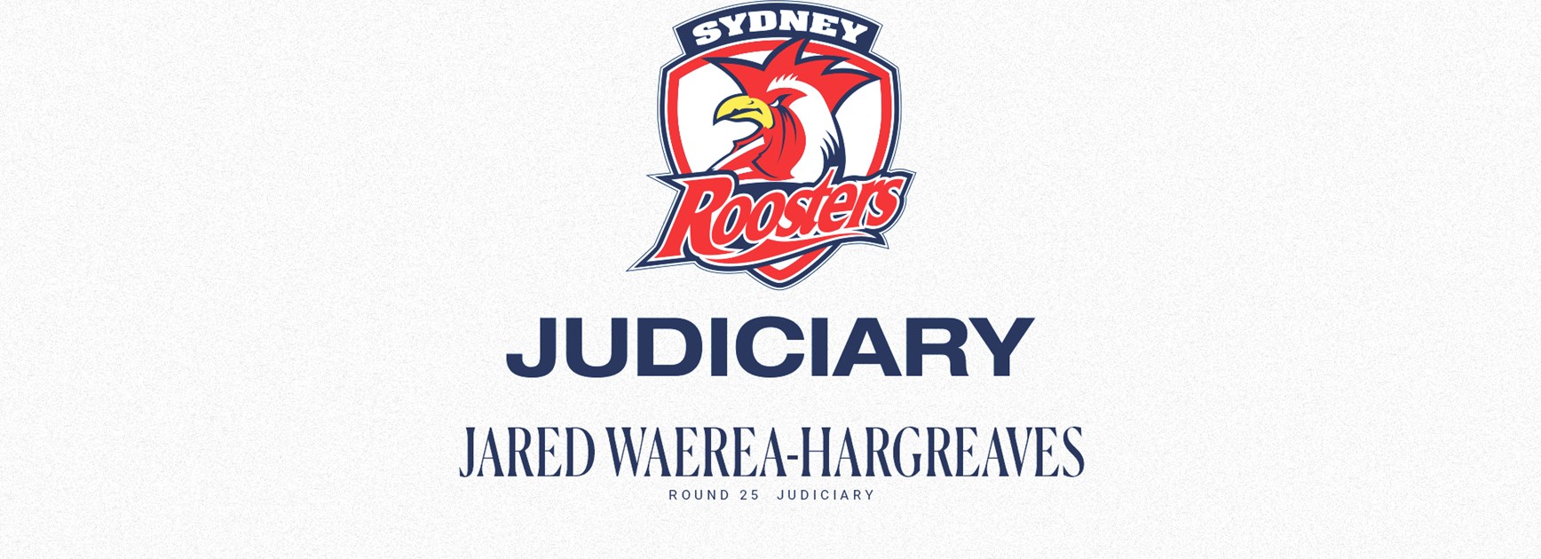 NRL Judiciary | Round 25